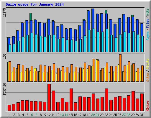 Daily usage for January 2024