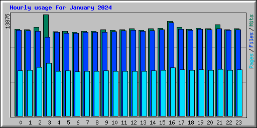 Hourly usage for January 2024