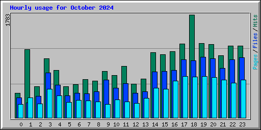 Hourly usage for October 2024