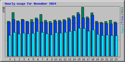 Hourly usage for November 2024