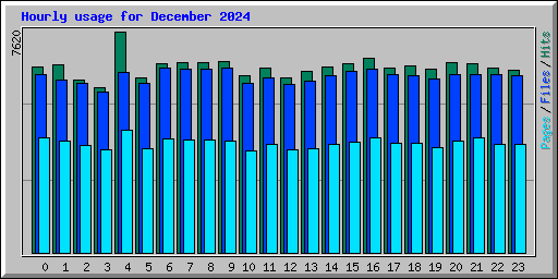 Hourly usage for December 2024