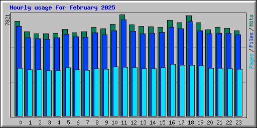 Hourly usage for February 2025