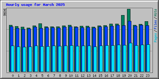 Hourly usage for March 2025