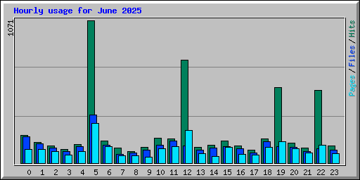 Hourly usage for June 2025