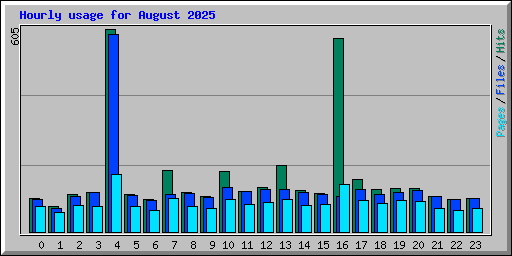 Hourly usage for August 2025
