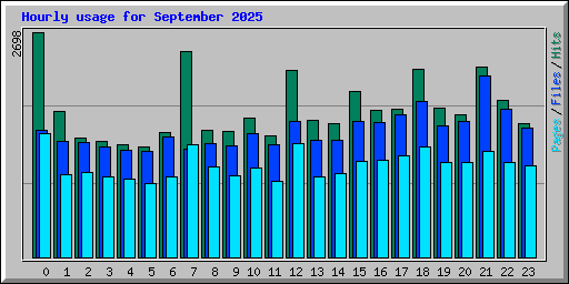Hourly usage for September 2025