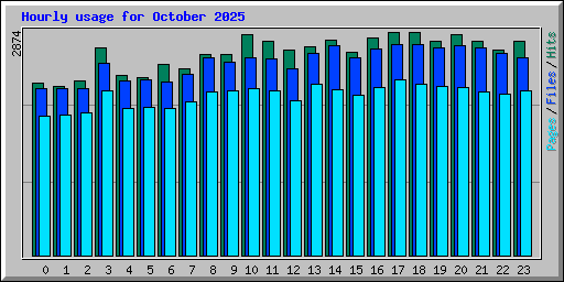 Hourly usage for October 2025