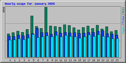 Hourly usage for January 2026