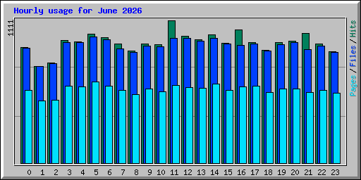 Hourly usage for June 2026