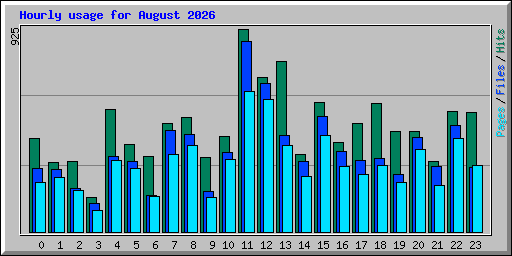Hourly usage for August 2026